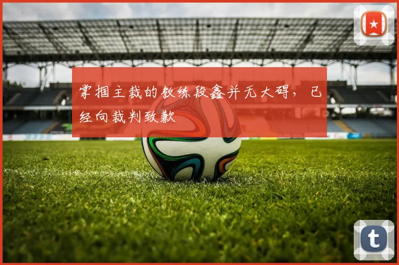 掌掴主裁的教练段鑫并无大碍，已经向裁判致歉