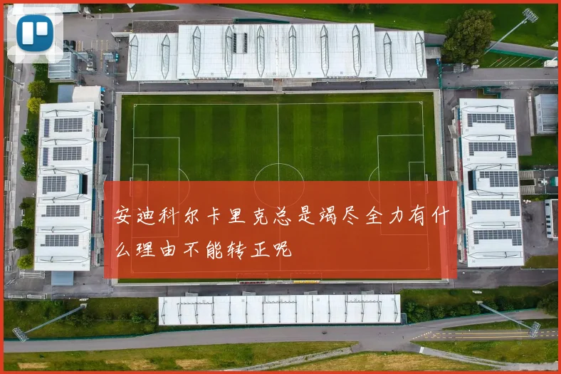 安迪科尔卡里克总是竭尽全力有什么理由不能转正呢