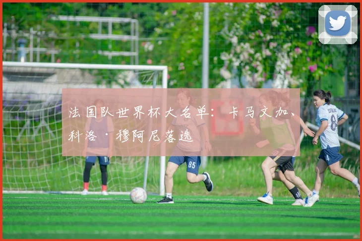 法国队世界杯大名单：卡马文加、科洛·穆阿尼落选